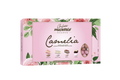 Maxtris Nuance Camelia